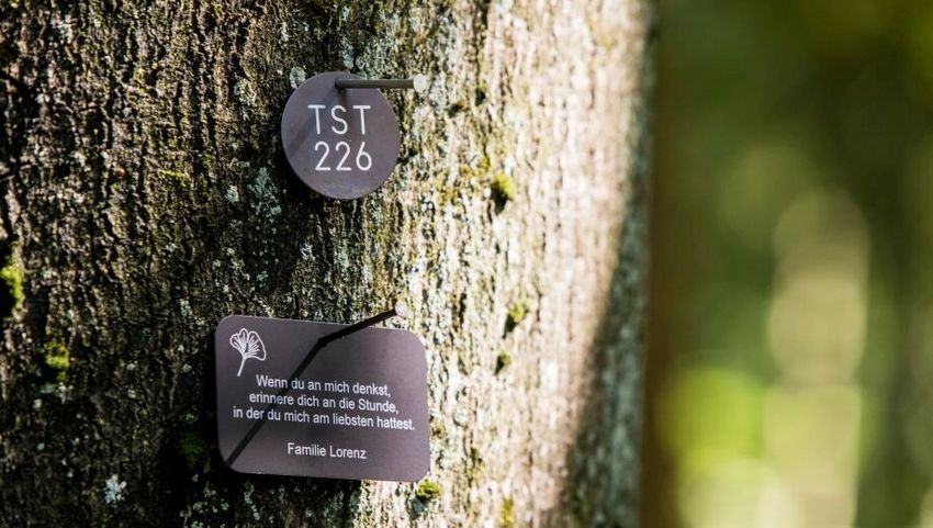 Namenstafel an einem Bestattungsbaum in Österreich